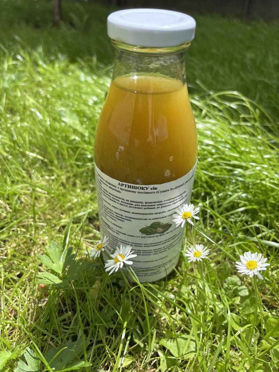 Артишок (сік пастеризований), 0.5 літри, фото 1