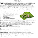 Лопух великий  (сік листа) , 0.5 літри, фото 3