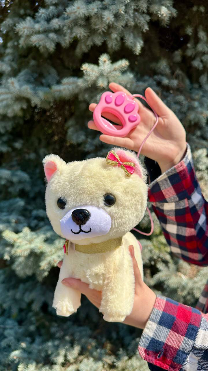 Улюбленець 933-120 E (24/2) "Собачка", ходить, гавкає, на повідці, в коробці, фото 1