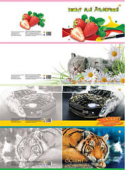 Альбом на скобі "ТЕТРАДА" з перфорацією 30 аркушів/120 гр.