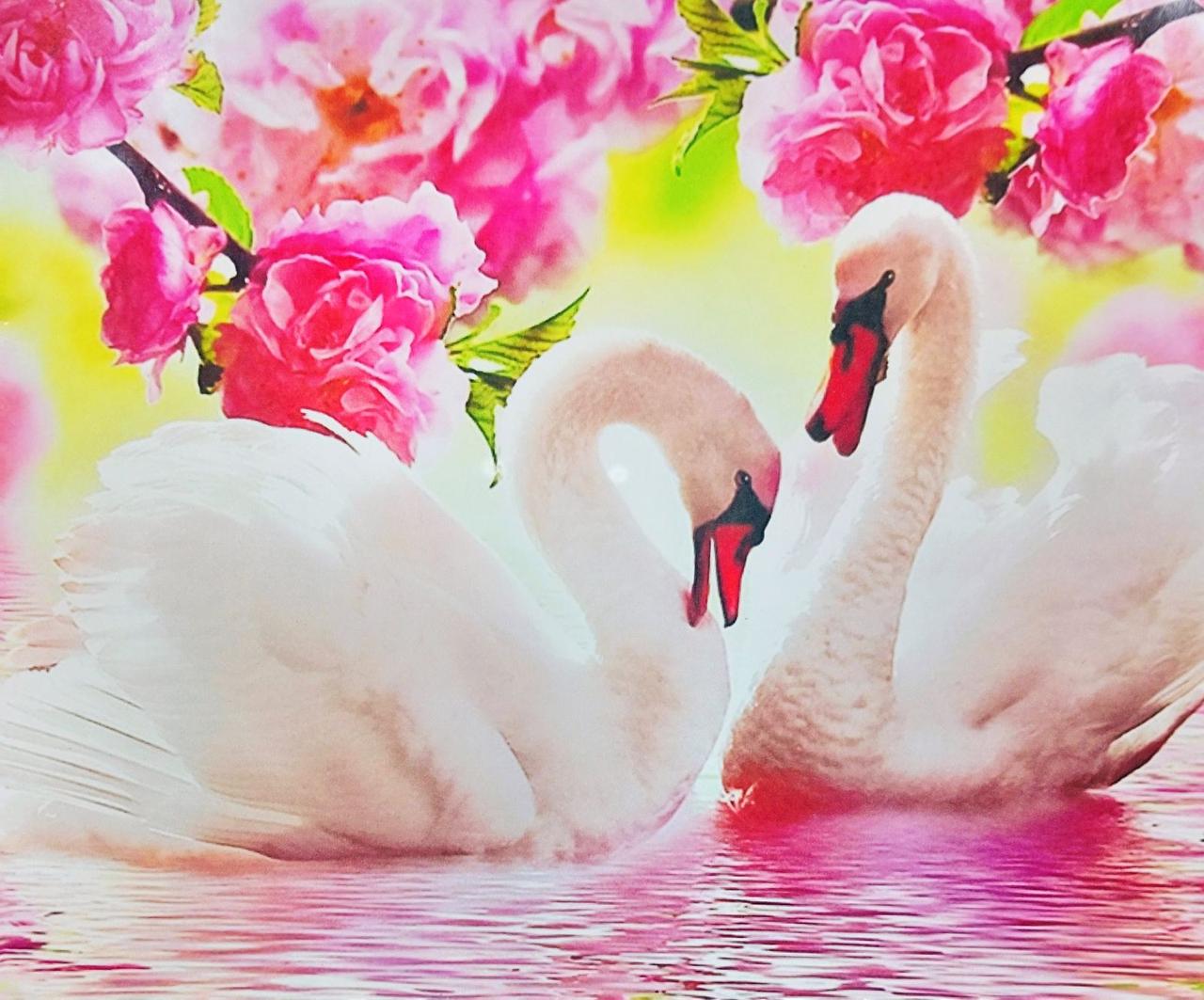 Набір алмазного вишивання мозаїки Go To Art Пара лебедів 189486, фото 1