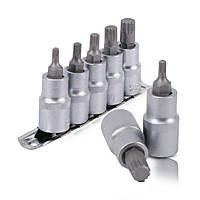 Intertool HT-1850 Набор сплайнов на планке 1/2" М5-М12 5 предметов HT-1850 Intertool HT-1850 Набор сплайнов на планке 1/2" М5-М12 5 предметов