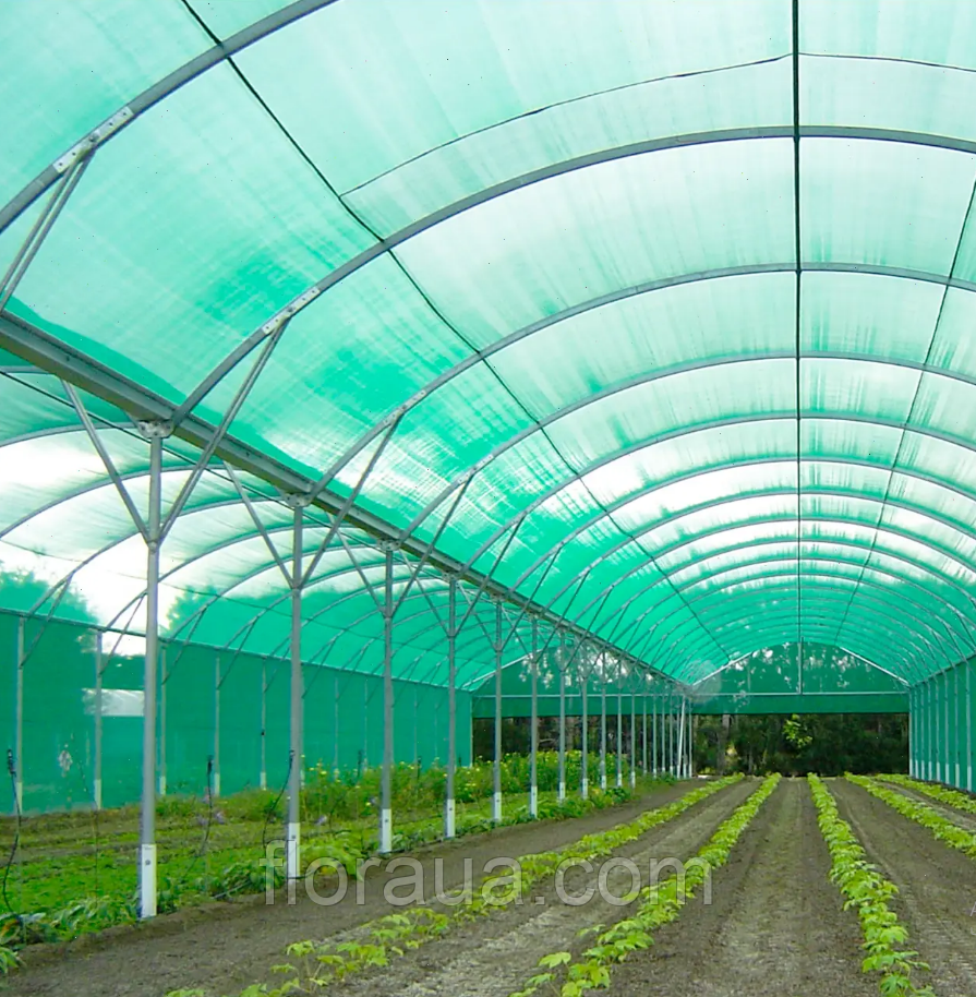 Сітка затіняюча 80% темно-зелена Agrimpex 2×100 м для теплиць, фасадів, навісів та відкритих ділянок, фото 1