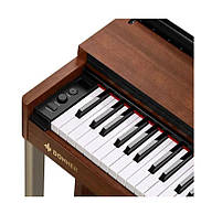 Цифрове піаніно DONNER DDP-200 + Стійка дерев'яна, фото 5