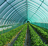 Сітка затіняюча 80% темно-зелена Agrimpex 2×100 м для теплиць, фасадів, навісів та відкритих ділянок, фото 6