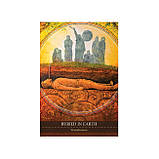 Shamanic Medicine Oracle (Оракул Шаманської Медицини), фото 10