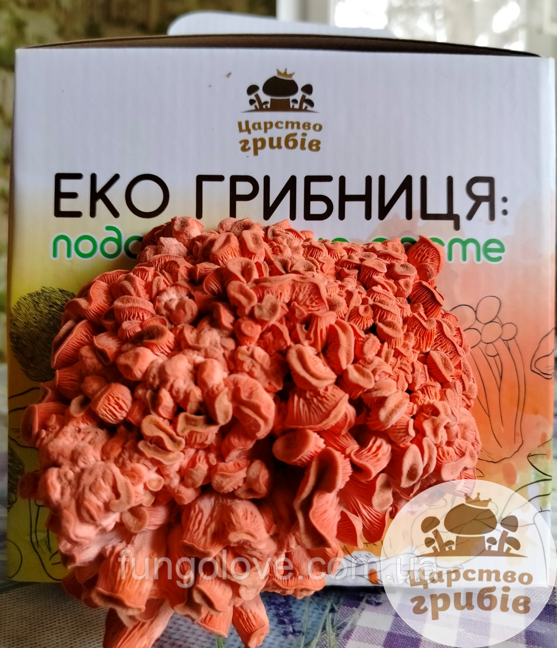 Еко грибниця. Подарунок, що росте.