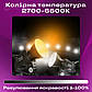 Відеосвітло прожектор Yongnuo YNRAY200 200W постійне світло для фото, відео зі штативом 2м. Студійне світло., фото 3