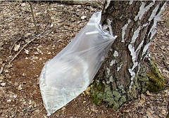 Мішок для березового соку, 40 мкм, 50х100 см, фото 5