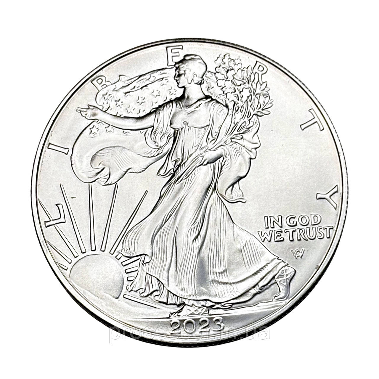 Срібна монета 1$ American Eagle 1oz 2023 — символ свободи, фото 1