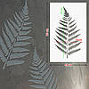 Трафарет товстий 3 мм для штукатурки, декоративний багаторазовий, пластиковий трафарет Папороть (490х800), фото 2