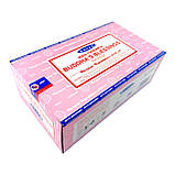 Аромапалочки Buddha's Blessings (Благословення Будди)(15 гр.)(Satya), фото 2