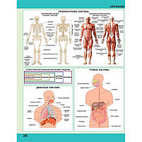 5-6 клас. НУШ. Атлас із контурними картами. Пізнаємо природу, Інститут передових технологій, фото 3