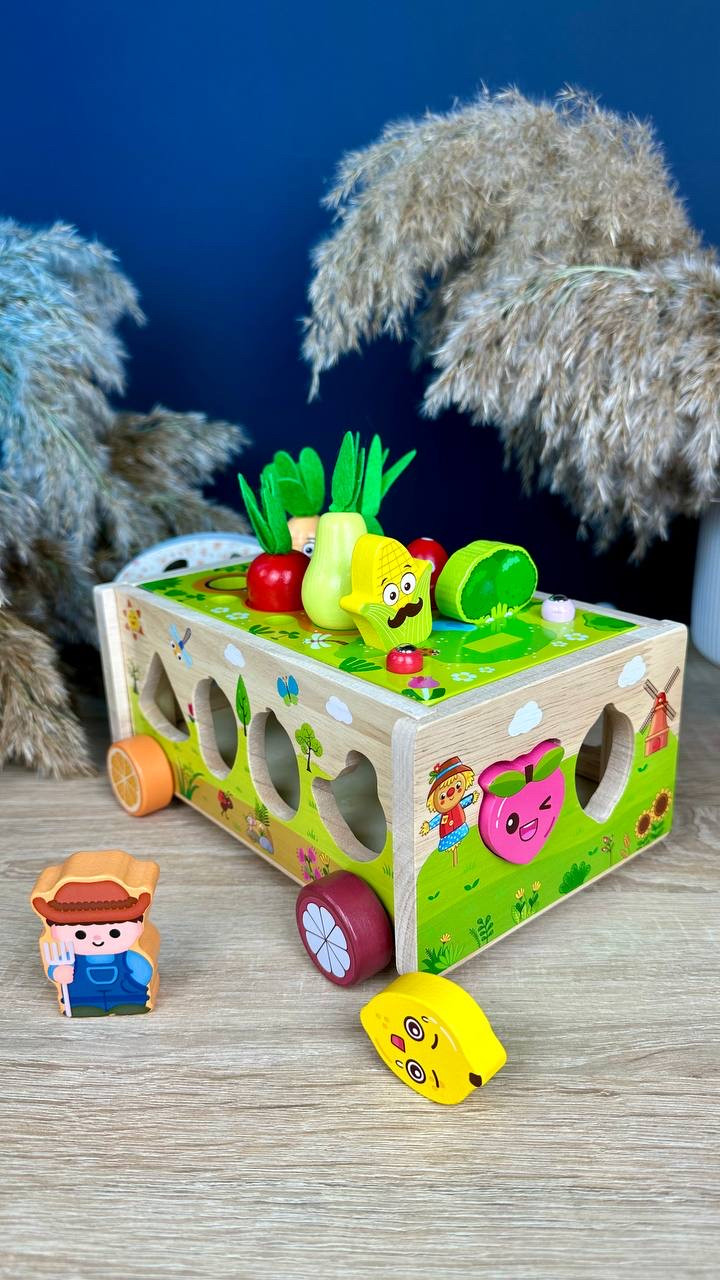 Каталка C 71010 (24) дерев’яна, 21.1х16х9.9 см, сортер, магнітна гра, галявина з овочами, в коробці, фото 1