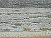 Килим  Motion 3308 Sand кремово-сірий прямокутний 80*150 см, фото 7