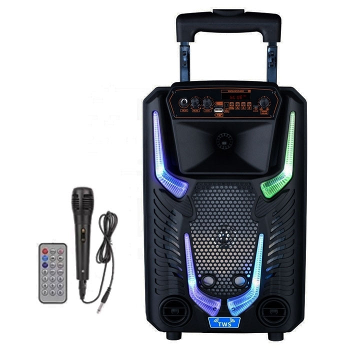 Акустична переносна колонка NDR-8908/ 10057 2x8" TWS/FM/USB/TF/BT/LED/REC/ДК/MIC (6)
