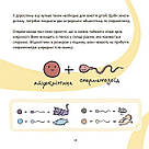 Це — вульва! А. Сальвія, К. Торрон, фото 5