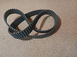 Ремінь ГРМ 1.8 L Brilliance M2 Бриллианс М2 Брілліанс, фото 6