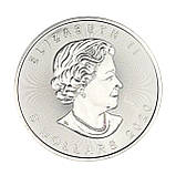 Срібна монета 5$ «Кленовий лист» 1oz 2020 — символ чистоти та сили Канади, фото 4