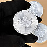 Срібна монета 5$ «Кленовий лист» 1oz 2020 — символ чистоти та сили Канади, фото 11