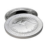 Срібна монета $1 Australian Kangaroo 1oz 2025 — ікона австралійського срібла, фото 4