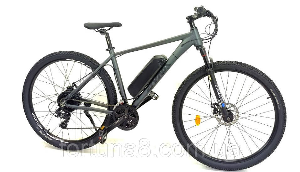 Електровелосипед DYNA 29" (750W 48V 21Ah)