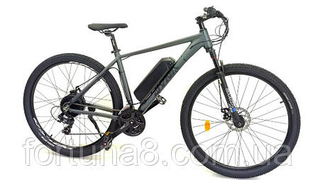 Електровелосипед DYNA 29" (750W 48V 21Ah), фото 1