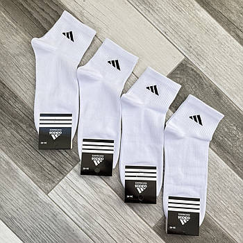Шкарпетки жіночі демісезонні бавовна короткі Adidas Performance Tennis, розмір 36-40, білі, 06137
