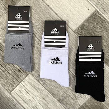 Шкарпетки жіночі демісезонні бавовна середні Adidas Performance, Туреччина, розмір 36-39, асорті, 06174