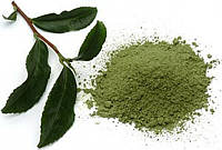 Зеленого чая экстракт 90% порошок
