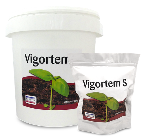 Фосфорно-гумінове добриво Vigortem-S (Вігортем-С) розсип 1кг, Meristem, фото 1