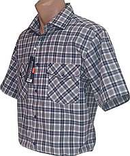 Чоловіча сорочка Brossard vk-0065 синя в клітинку класична бавовна з коротким рукавом, теніска натуральна, фото 4