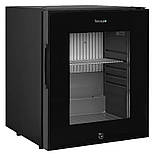 Мінібар Tefcold TM33G, фото 2