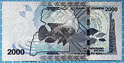 Банкнота Уганди 2000 шиллінгів 2022 р. UNC