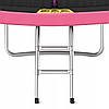 Батут із внутрішньою сіткою 4FIZJO PRO 8FT 252 см Black/Pink (P-5907739314550), фото 7