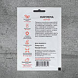 Морква Карлена 10 г насіння пакетоване Спектр Сад, фото 2