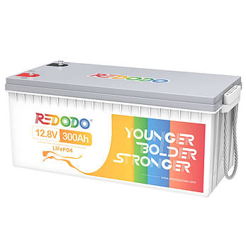 Акумуляторна батарея LiFePO4 Redodo 12.8V 300Ah , 3840Wh, BMS 200A, 522*240*218мм, фото 3