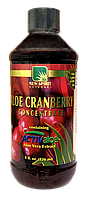 Концентрований сік Алое з журавлиною, флакон, 236 мл