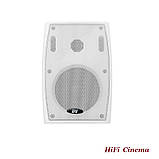 Всепогодна акустика DV Audio PB-5.2T IP Black корпусні вулична колонка 8 Ом 30 Вт 100 В, фото 6