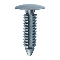 Кліпса універсальна