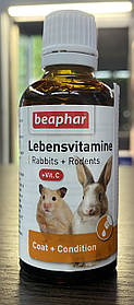 Вітаміни для гризунів Beaphar Lebensvitamine (Біафар лебенсвітамін), 50 мл