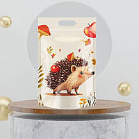 Пакет дитячий з малюнком Їжачок для подарунків 22 х15 см зіп застібкою з ручкою пакувальний