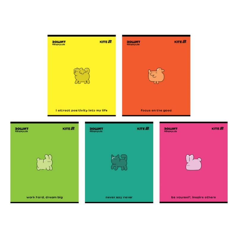 Зошит загальний Kite One color K25-259-2, 48 аркушів, клітинка, фото 1