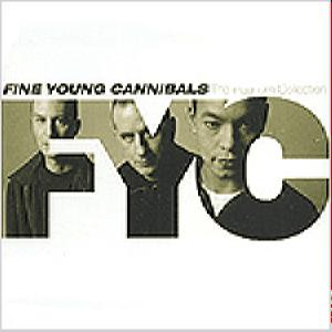 The Platinum Collection – Fine Young Cannibals (CD Audio)