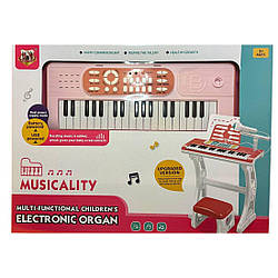 668-10 Піаніно, електронне, табуретка, мікрофон, батарейки.