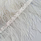 Пір’я 6-9см страусине біле на стрічці