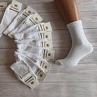 Шкарпетки чоловічі Premio класика білі 39-41  | 12 пар