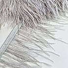 Пір’я 6-9см страусине світло сіре на стрічці