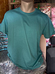 Футболка чоловіча (бірюза)
