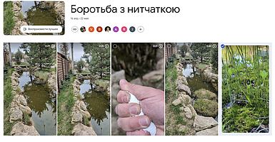 Препарат для боротьби з нитчастими водоростями